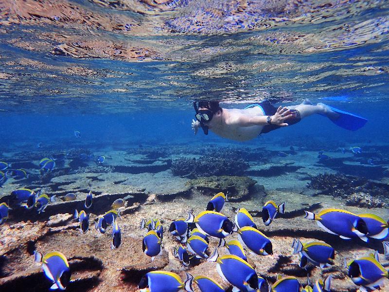 Sealavie Inn Ukulhas Island Luaran gambar