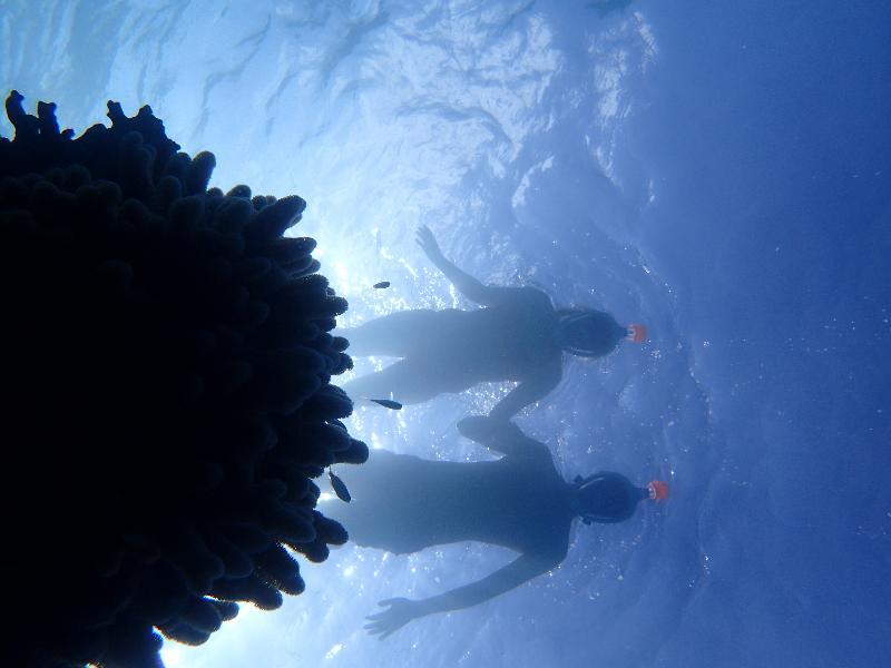 Sealavie Inn Ukulhas Island Luaran gambar